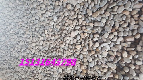 天然鹅卵石滤料 邯郸永顺河卵石（3-5厘米）的应用与优势